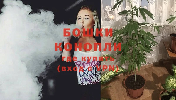 spice Касимов